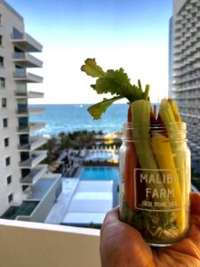 Fresh, organic, and local food served at Malibu Farm at the Nobu Hotel Miami Beach.